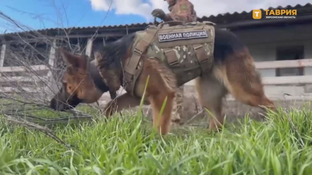 �������������� ������� ������� ������� ����������� ����� "�����" ��������� ����� ������ �� �������������� �� ������������� �����������