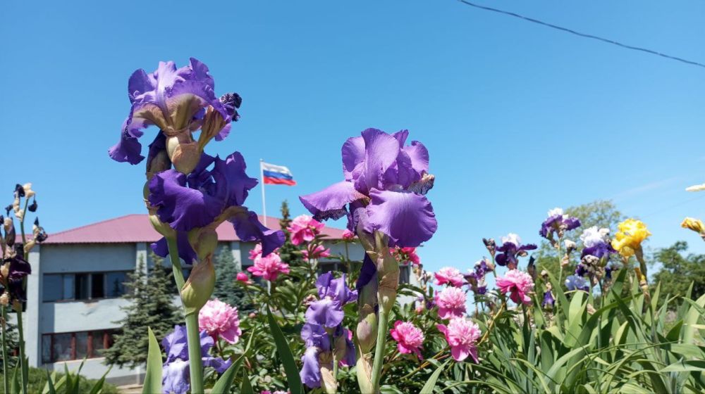 ����� ���������� � ��������� ������ �����! � ��� � ����� ������������� ����� � ����