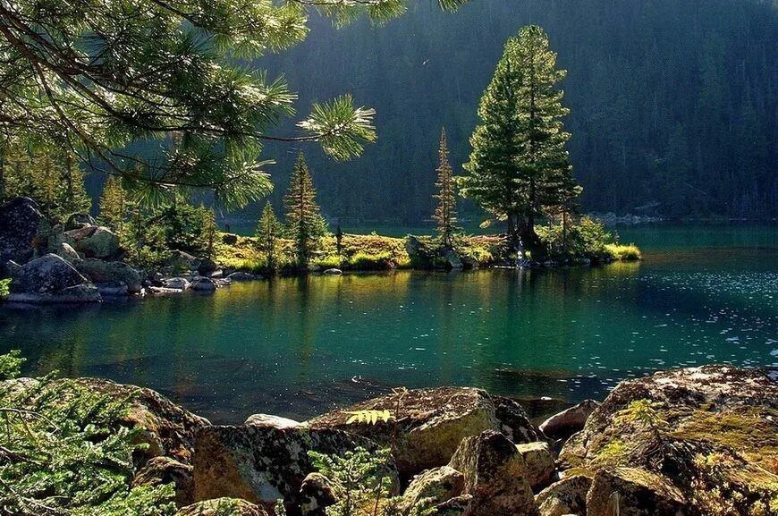 . ������� ���� ������� , �� ��� �� ����� �� �����