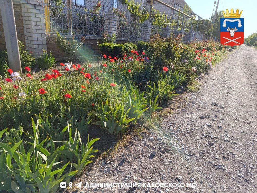 ������ ����, ������ ���������� �������������� ������!