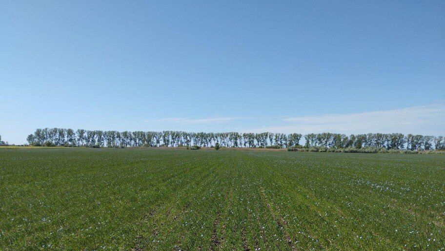 � ���������� ������� ������� ������ ���� �� ����� ��� 1000 ��