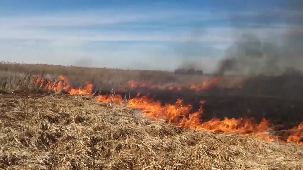 � �� ����, ���.... �� ��������� ���������� �������� ������������ ������������� ���������������� ��������������� � ������������ �� ��. 20.4 ������� ���������� ��������� �� ���������������� ���������������? ��� ������� �� 5...