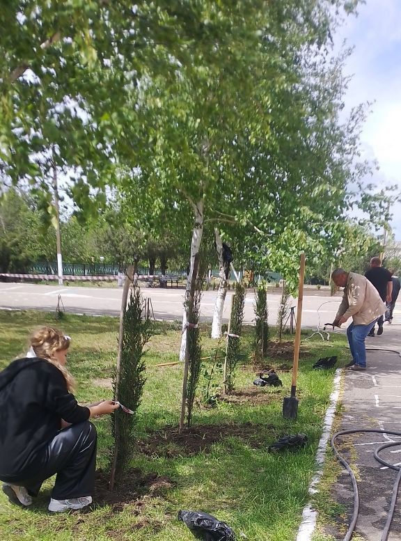 ������� ������������ ����� �������� ������� �������� �� ���������� �������� ���������