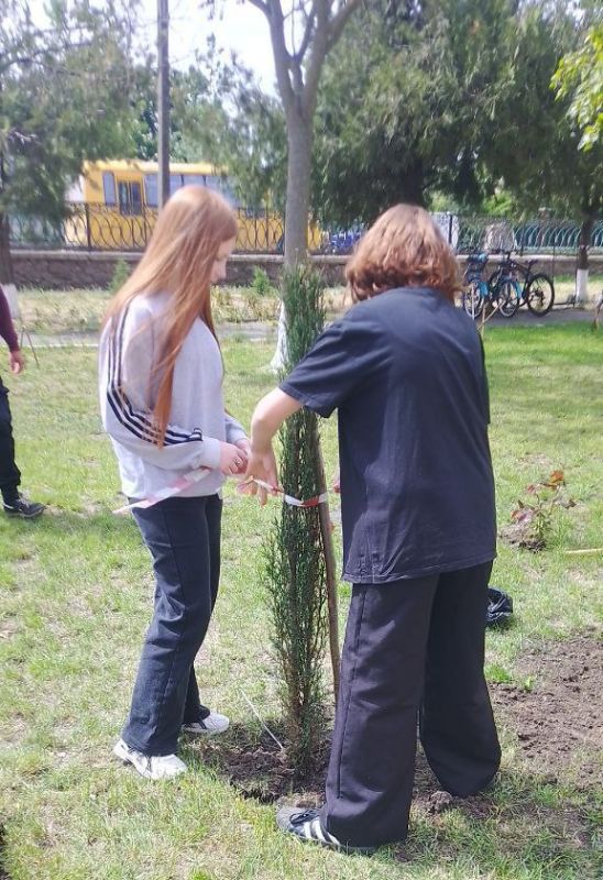 ������� ������������ ����� �������� ������� �������� �� ���������� �������� ���������