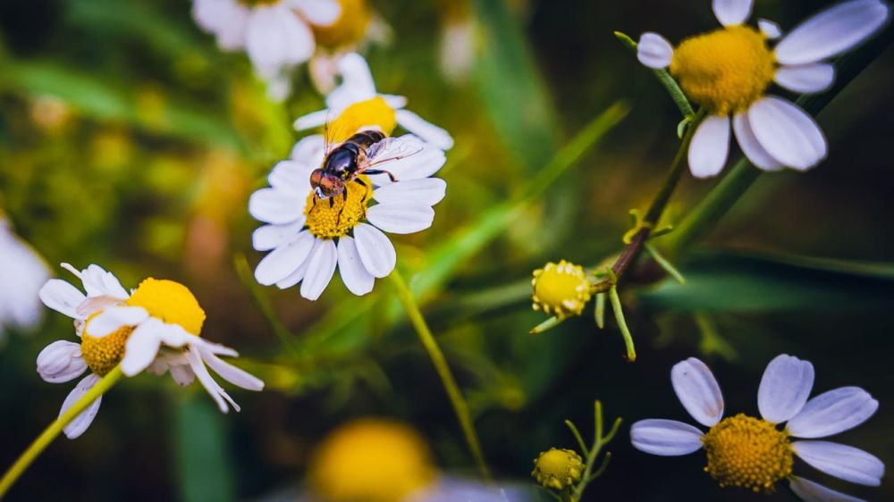 �������� ������: ������� ����� ���������� � ��� ���� �����: ���������, �� �������