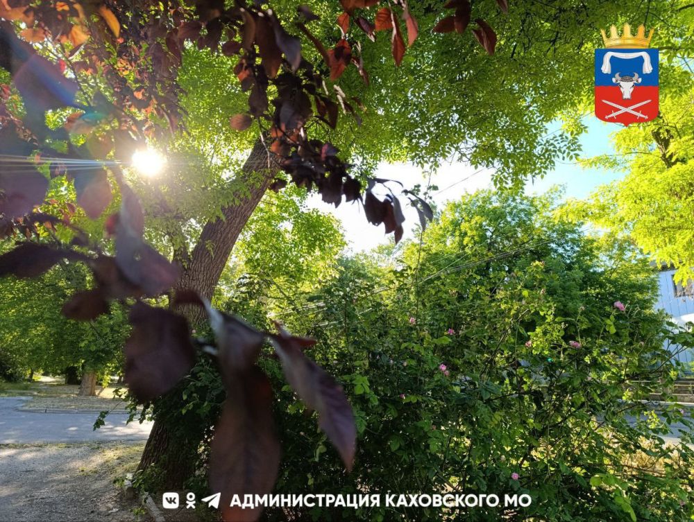 ������ ����, ������ ���������� �������������� ������!