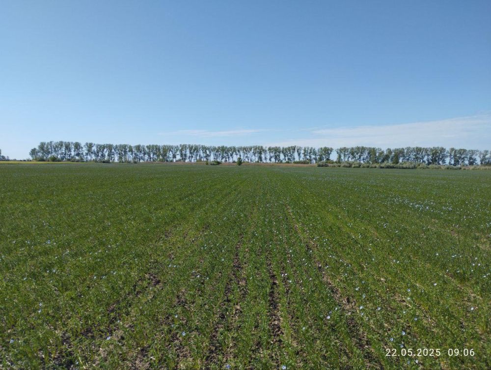 � ���������� ������� �������� ���������� ����