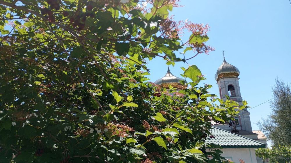 ������ ����, ������ ������ ����������� ����