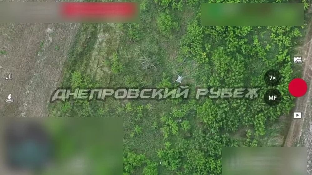 ���������� �����������. ��������� 80-� ��������� �������������� ������� ����������� ����� ������ ������� ������ ���� �� ������� ���������� � ������ ���������� ������ �����������