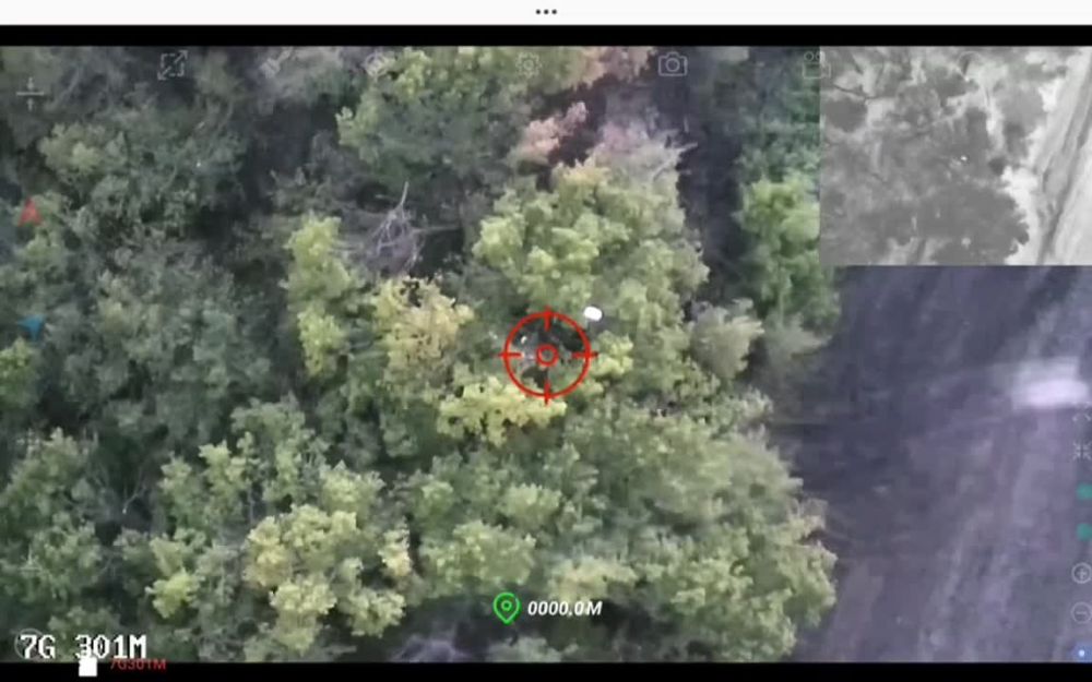 ����� ������� ����� �������