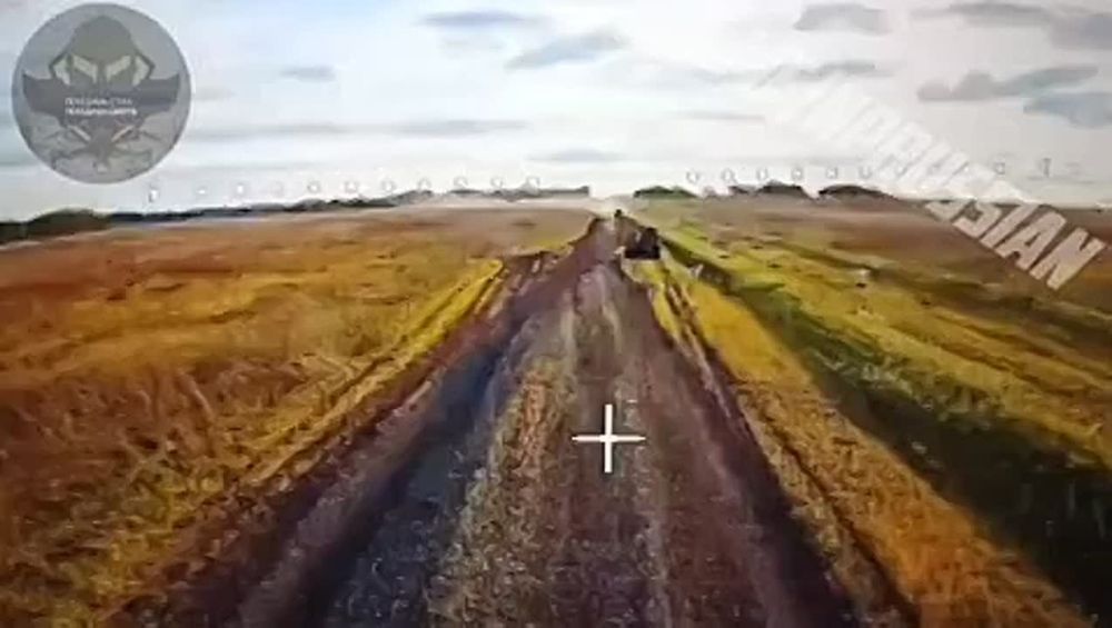 ������ ������ �����. ��������-����� ���������� �������