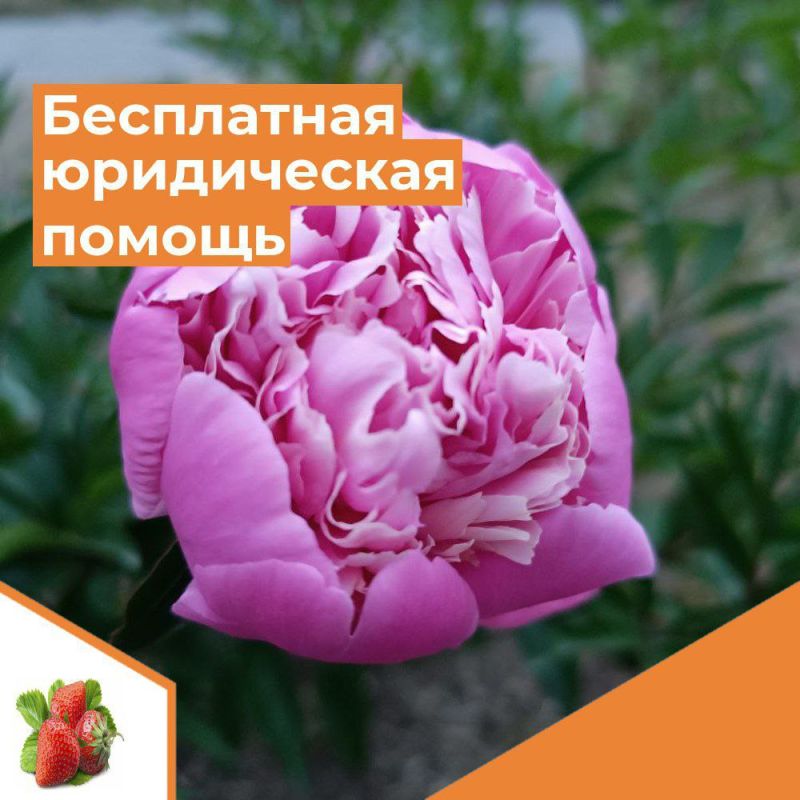 ������� ������ �����������!