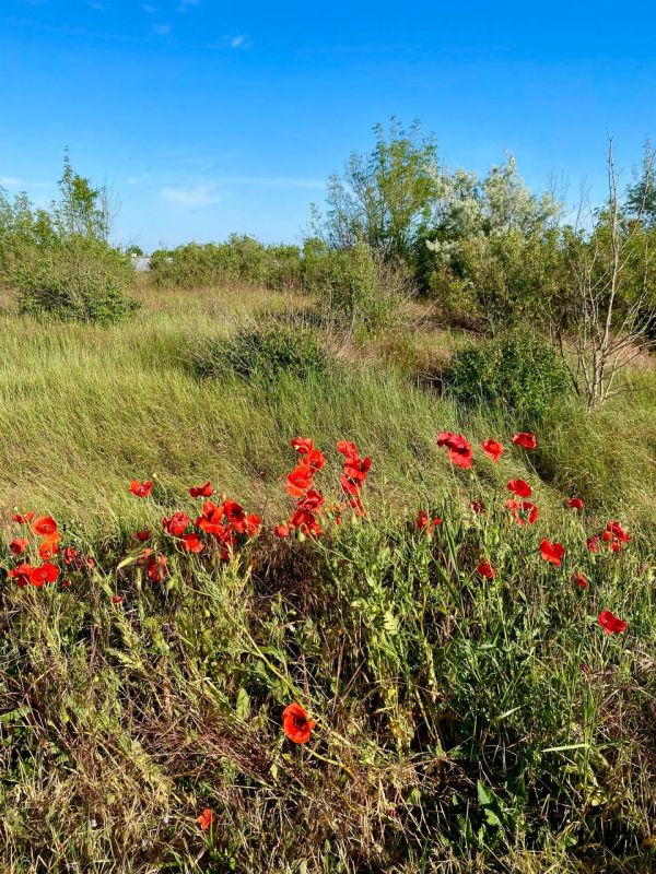 ������ ���� ����!. ������ �������� ���! � ������ ��������� ��� ������ � ���������� ������, ��������� �� ���� � ��������� ����������! ����������, ������������ ������� ������! sd_kakhovka.khogov.ru