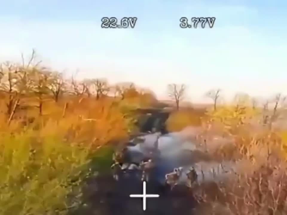 ������� ����. ��������-����� ���������� �������