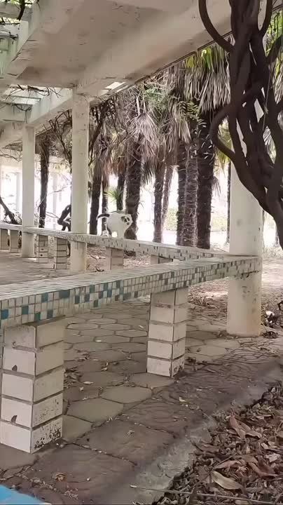 �� ���, ������, ��� ����� � ������� ����, ��� ���������?!