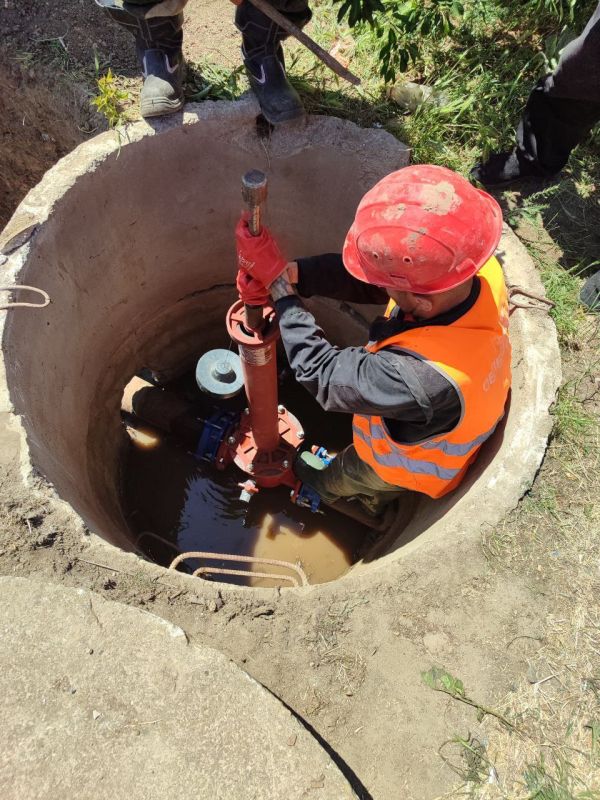 � ���� ��������� ���������� �������� �������