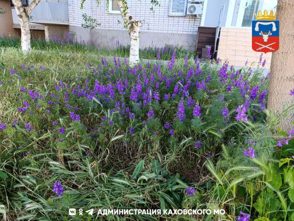 ������ ����, ������ ���������� �������������� ������!