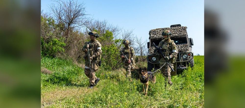 ���������� ������������ ������������ �� ���������� ���������� � ����������� ��������