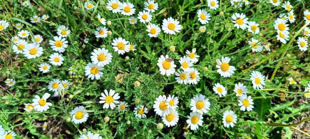 ������� ����� �� ������. �������� ������ ���