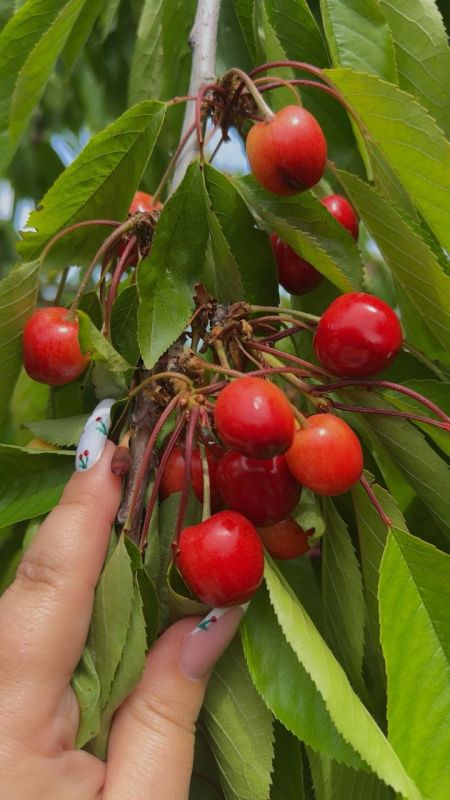 ���������� ����� ������� ����� ����������� - ������ � �������, ��� � �����!