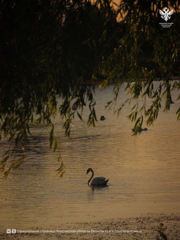 �������� ����� ���������� ������� - � ���������� �������