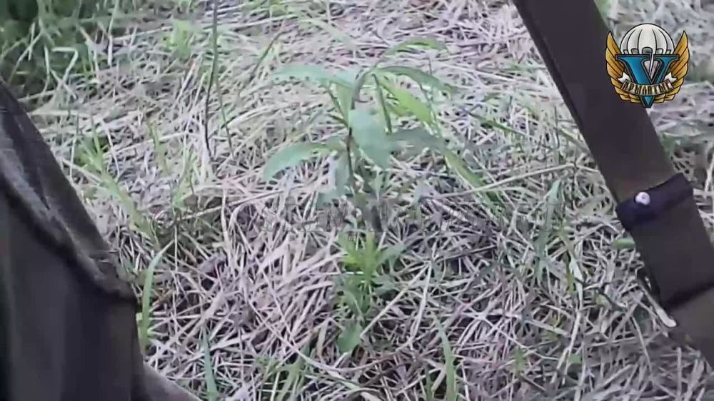 �������� ����� �� ������� ���� ��������� �������� ������������ ����������� "�����", � ���� ������� ��� ������� ������� ����� ���������� � ����� �������!