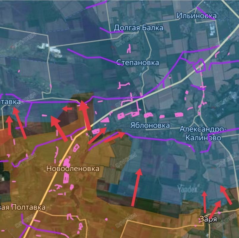  :  .  -          . &quot;&quot;  