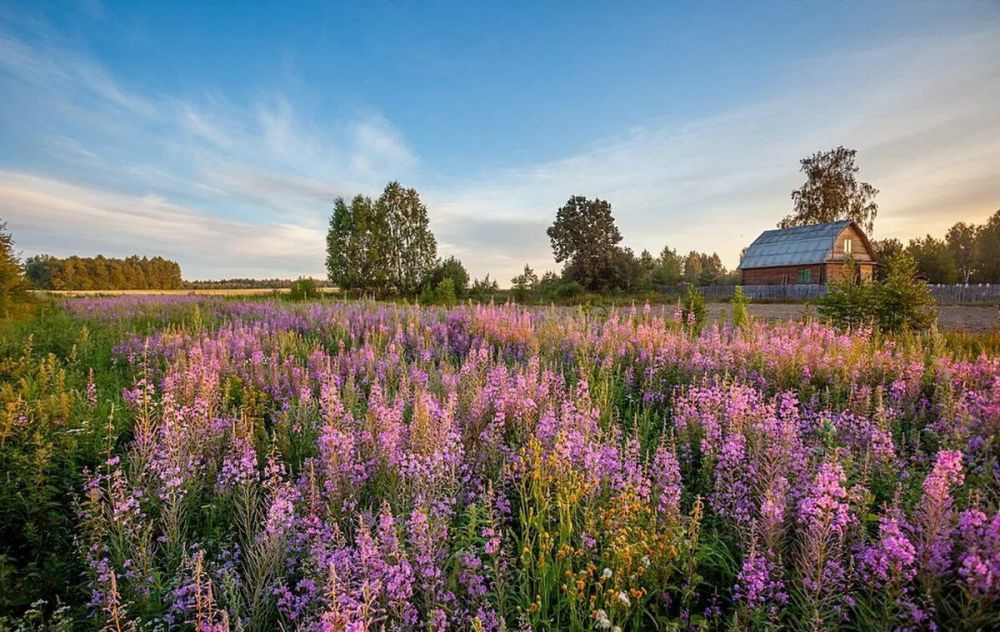 . � ������ ������ ����� ��� ������ , ������ �������� ������ ����