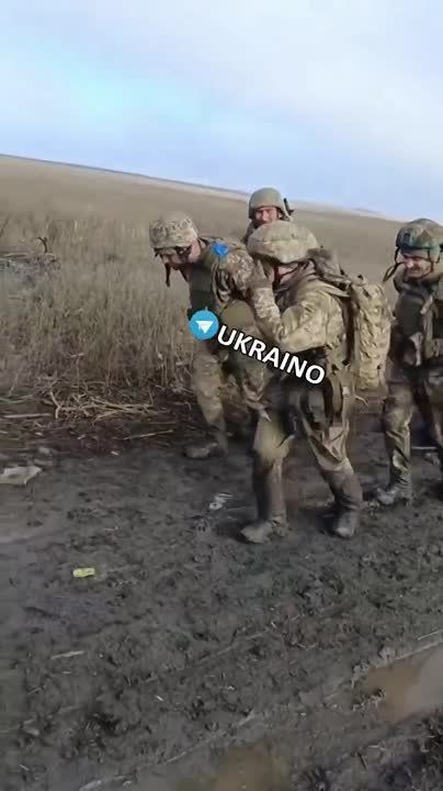 ��������� ���������.. ��������-����� ���������� �������