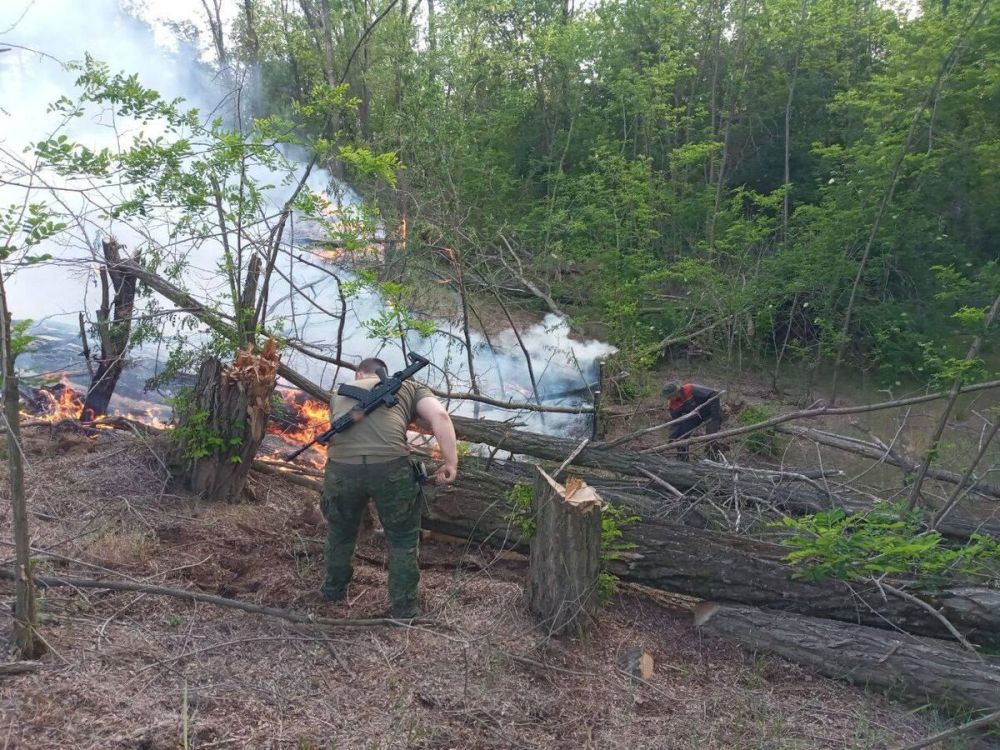 В Херсонской области вспыхнул лесной пожар из-за обстрелов ВСУ
