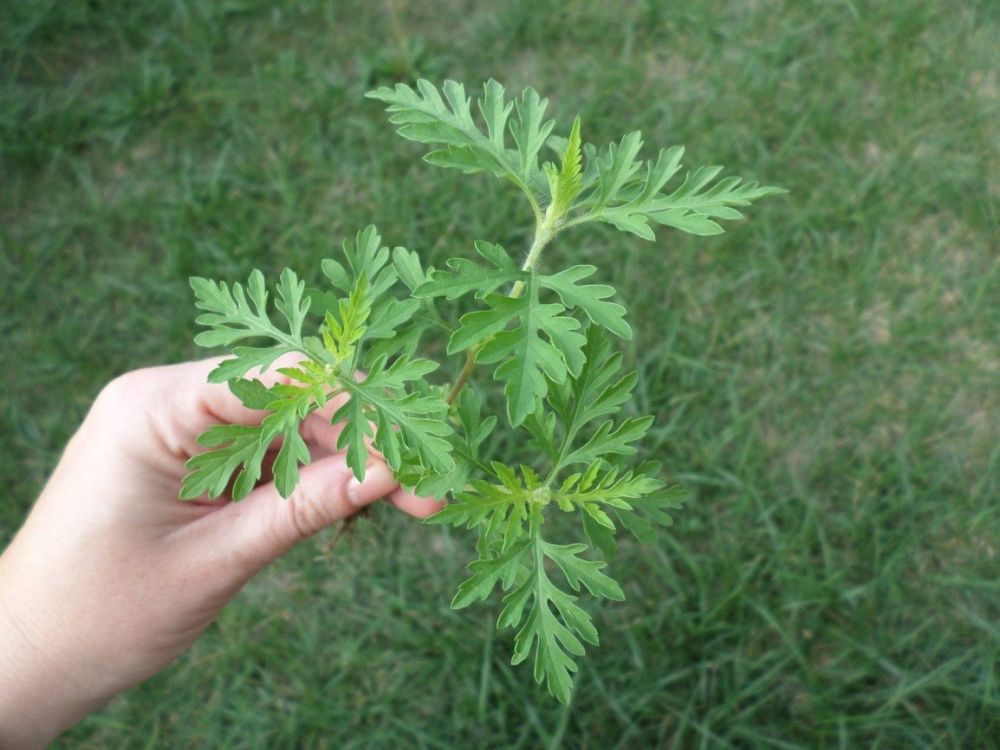 ���������� ����������������� � ���������� � ������������ ������� ���������� ���� ����������� ���