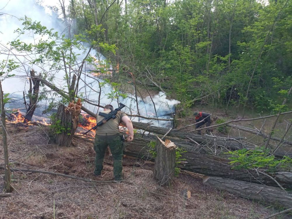 ������ ����� �������� � ��������������� ������ ����� �������� ��������� ���