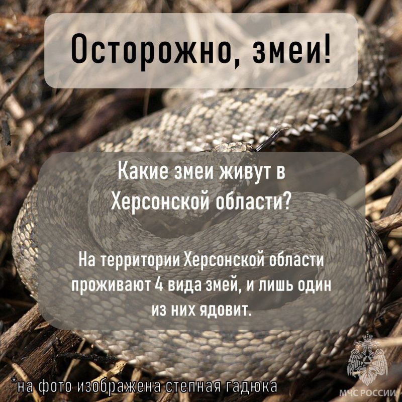 ������� ������� �������. ���? ������� ������ ��� ����� - ������������ �������� ���� ���������� �������