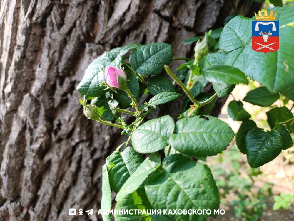 ������ ����, ������ ���������� �������������� ������!