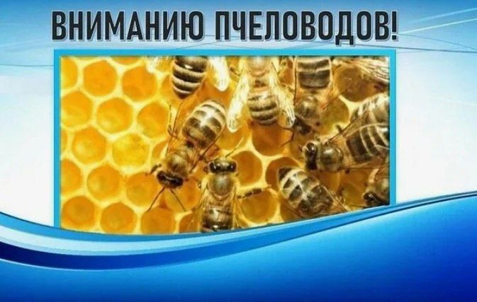 ��������� ���������!. ��� ��������� �� ���������� � ���������� ���������� ��������� ����� ����������� ������� ������ ��������� ��� ���� � ������ � 1 ���� �� 15 ���� 2025 ����