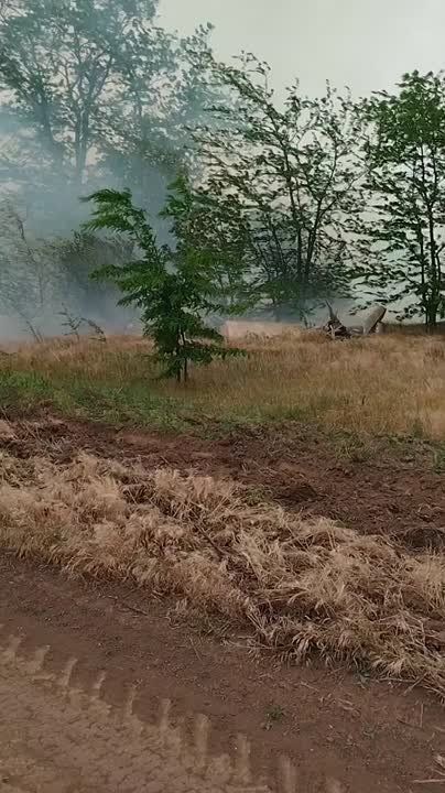 ���������� �� ���� ������� ����� ������������ ����� �� ����������� ����