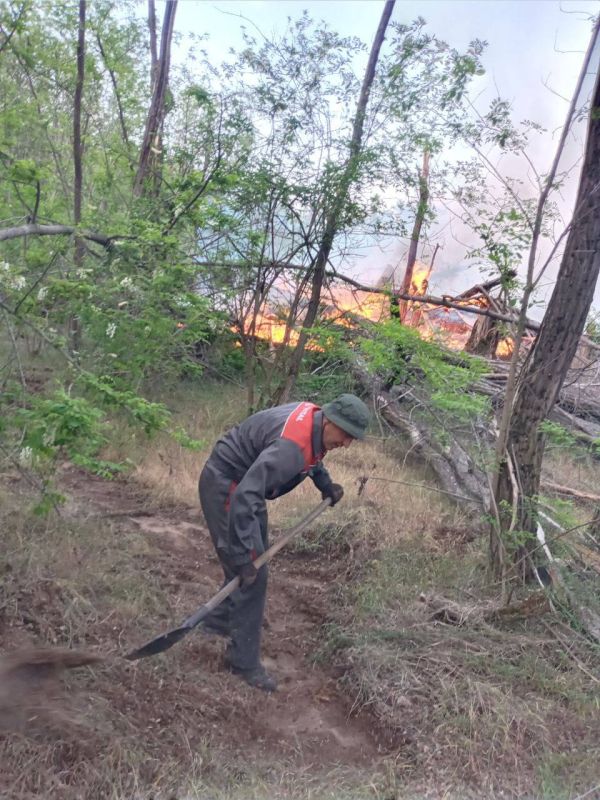 ����������� ���������������� ������� ��������� � ��������������� �������� ��� ������ ������, ��������� � ���������� ��������� ���