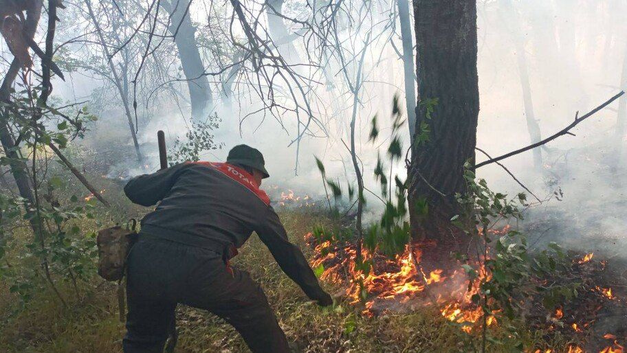 � ���������� ��������� ��� � ��������������� ������� ��������� ��� ������ ������