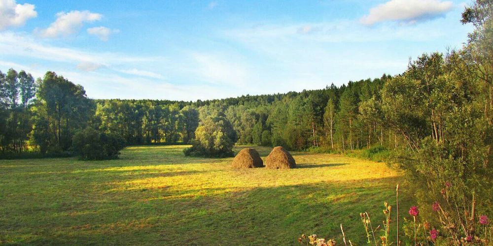 . ����� �������