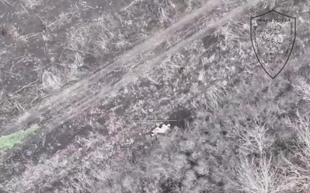 ���������� ���������. ��������-����� ���������� �������