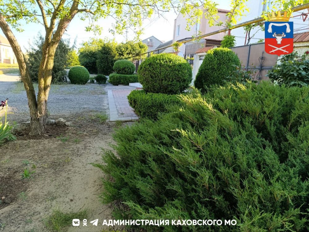 ������ ����, ������ ���������� �������������� ������!