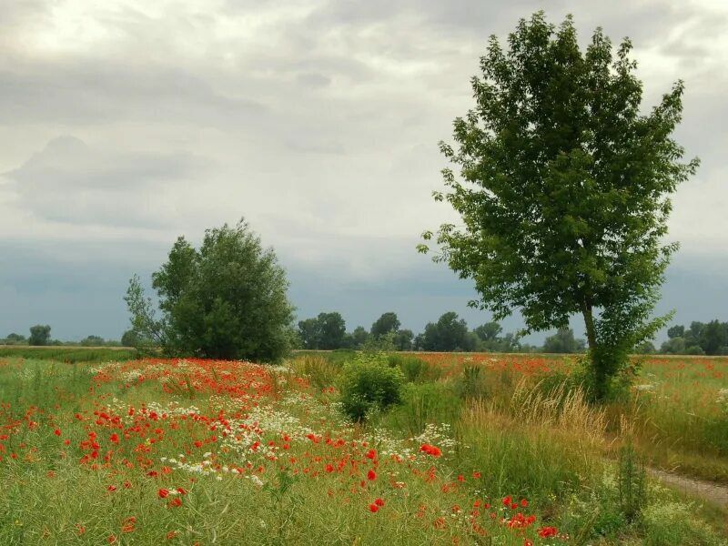 . �� ����� ������� ��� �� �������� , ������ ��� �������� �����