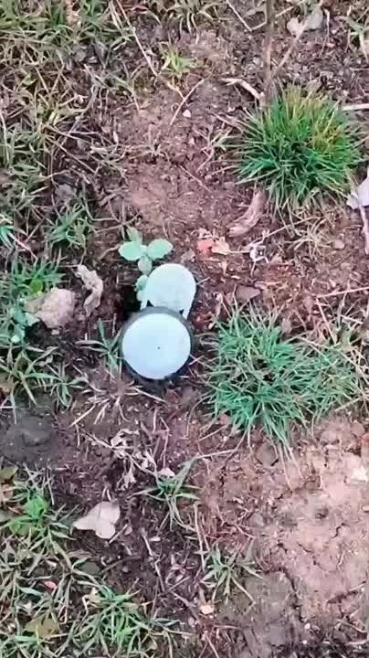 Валерия Петрусевич: Прошу помочь с распространением