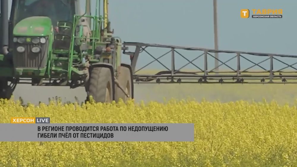 ������������ ��� ���������� ������� ��������� � ��������������� ������� �������� ������ �� ����������� ������ ����