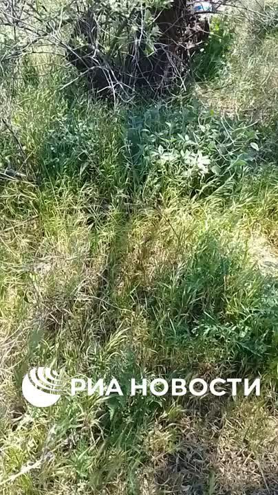 ���������� �����������-���������������� ������ �� 4 �������� ���������� �� ����� ������ ������ � ��� ������� �� ������� �� �������� � ���������� ������� ����������