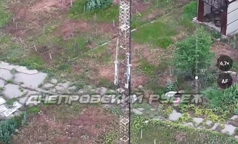 ���������� �����������. ��������� ���� ����������� ����� ������ ������� �������� ���� �� ������� ����� ����������, ������������� �� ������ ������ ������