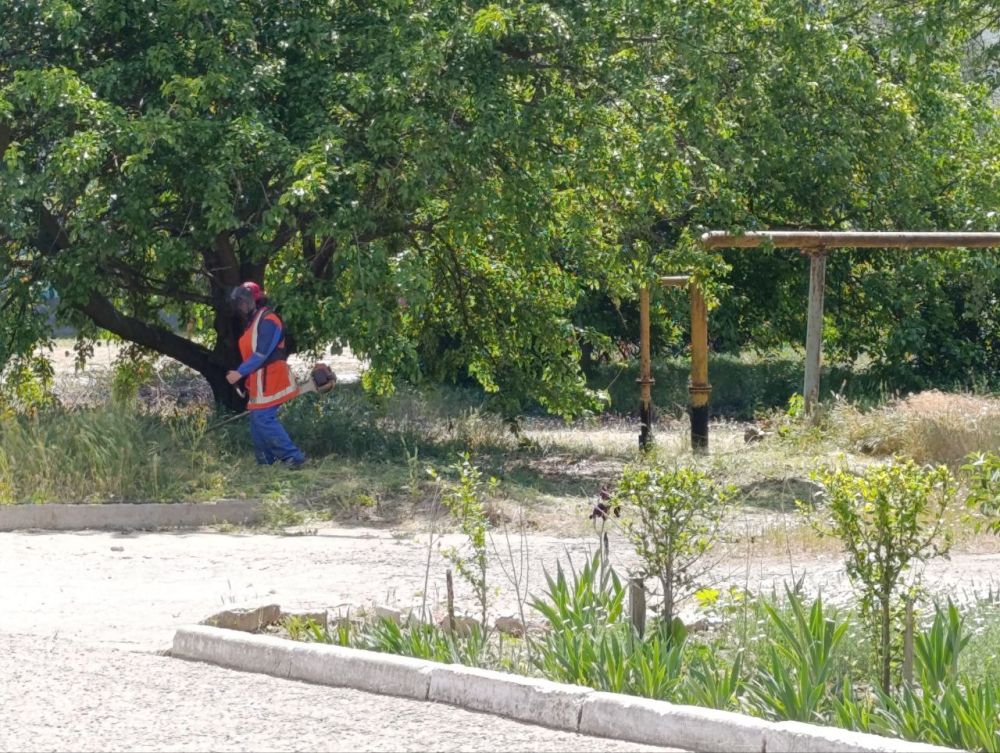 � ��������� ������ ����� ����� ������� ���������� ������ ������������ ������