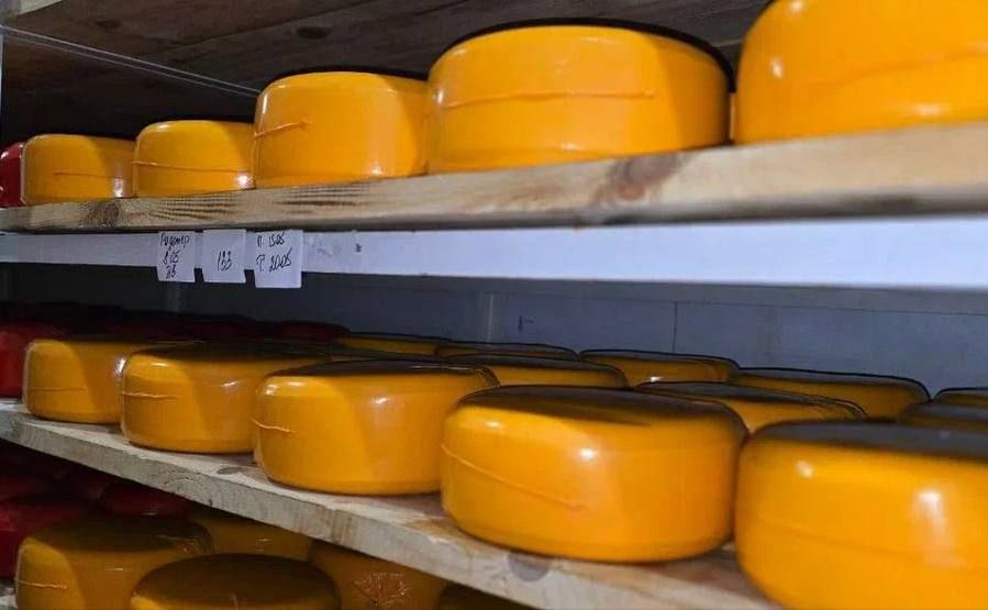 ������������ ������������� �������� ������������ ������ ����� ��� � ��� ����