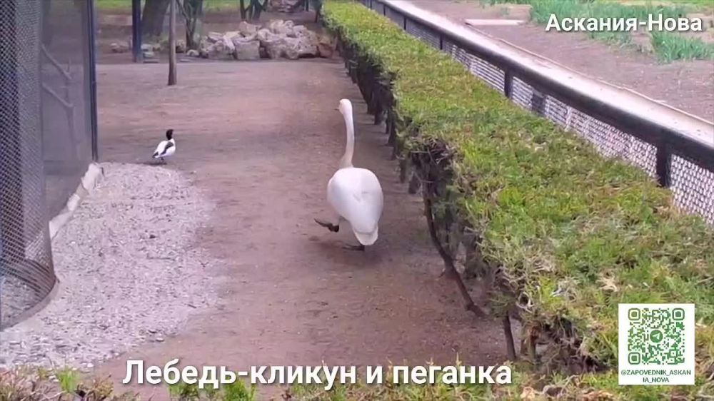 ���������� � ����������!. ������� ������, � ����������� ���������� ����� ������� ������, �������� ��������� � ���� ����� �����������