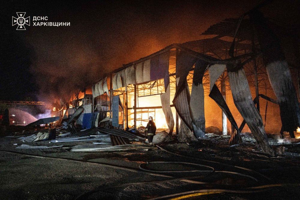 ������� ������ �� ���������� ������� 28-29 ��� 2025 ����